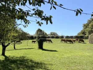 A charming Estate with 2 guesthouses, a swimming pool, 5 ha of landscaped land!!