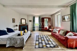 Exceptional estate near Aubeterre-sur-Dronne