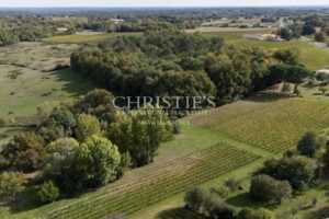 Propriété de charme composée d'un manoir, longère, salle de cinéma, grange, petit vignoble...