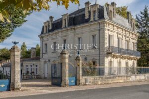 Romantic Country Château with Guesthouses and Space for Professional Activities