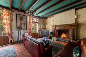 Romantic Country Château with Guesthouses and Space for Professional Activities