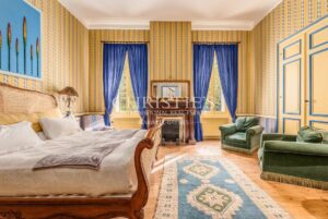 Romantic Country Château with Guesthouses and Space for Professional Activities
