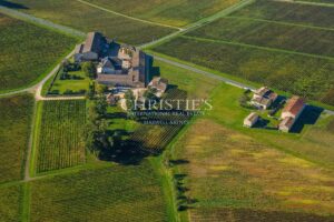 Superbe domaine viticole – Satellite de Saint-Émilion avec somptueux Château