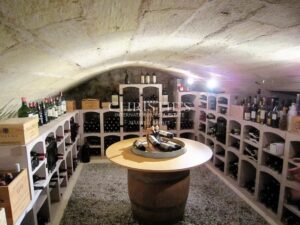 Superbe domaine viticole – Satellite de Saint-Émilion avec somptueux Château