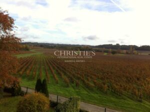 Superbe domaine viticole – Satellite de Saint-Émilion avec somptueux Château
