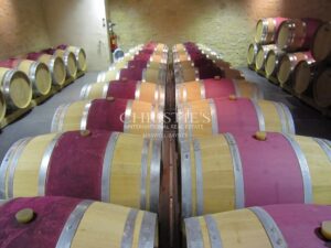 Superbe domaine viticole – Satellite de Saint-Émilion avec somptueux Château
