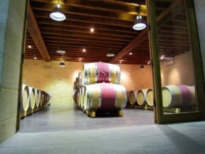 Superbe domaine viticole – Satellite de Saint-Émilion avec somptueux Château