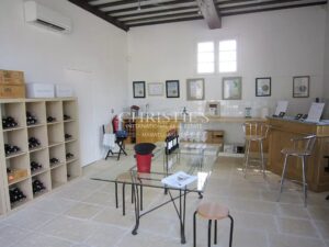 Superbe domaine viticole – Satellite de Saint-Émilion avec somptueux Château