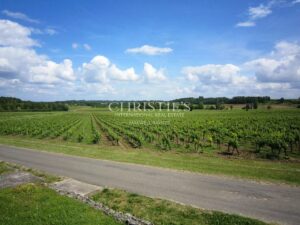 Superbe domaine viticole – Satellite de Saint-Émilion avec somptueux Château