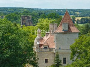 Magnificent Renaissance Chateau near Angoulême