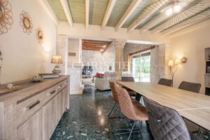 The Old Farmhouse with barns, 3 donkies and 35 hectares of land