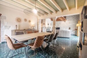 The Old Farmhouse with barns, 3 donkies and 35 hectares of land