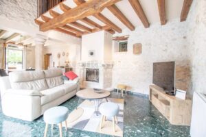 The Old Farmhouse with barns, 3 donkies and 35 hectares of land