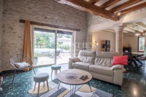 The Old Farmhouse with barns, 3 donkies and 35 hectares of land