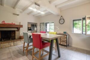 The Old Farmhouse with barns, 3 donkies and 35 hectares of land