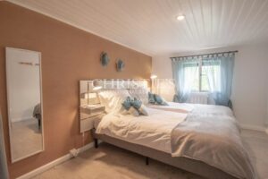 The Old Farmhouse with barns, 3 donkies and 35 hectares of land