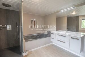 The Old Farmhouse with barns, 3 donkies and 35 hectares of land