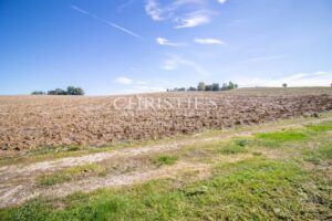 The Old Farmhouse with barns, 3 donkies and 35 hectares of land