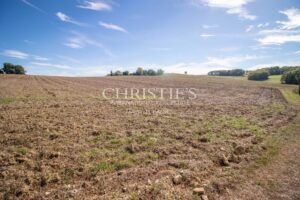 The Old Farmhouse with barns, 3 donkies and 35 hectares of land