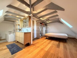 PRESTIGIOUS RESIDENCE with 3 GUESTROOMS and STUDIO