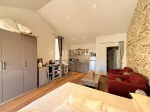 PRESTIGIOUS RESIDENCE with 3 GUESTROOMS and STUDIO