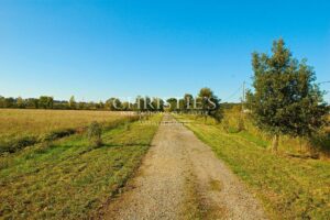 27-hectare property in one piece, isolated, quiet. Character buildings. To be renovated.