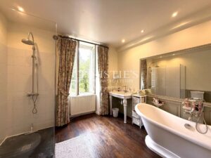 Elegant Stone Property with Guest House and Pool near Ribérac