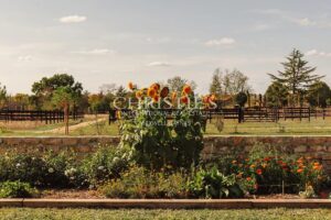 Magnifique propriété du XVIIIe siècle sur environ 12 hectares