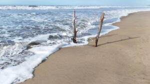 Exclusivité – Confort et espace à deux pas des plages