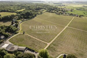 Château avec son vignoble Saumur AOC de 15Ha entre Chinon et Saumur
