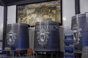 Château avec son vignoble Saumur AOC de 15Ha entre Chinon et Saumur