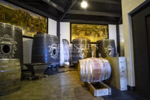 Château avec son vignoble Saumur AOC de 15Ha entre Chinon et Saumur