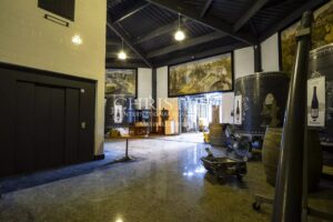 Château avec son vignoble Saumur AOC de 15Ha entre Chinon et Saumur