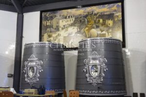 Château avec son vignoble Saumur AOC de 15Ha entre Chinon et Saumur