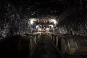 Château avec son vignoble Saumur AOC de 15Ha entre Chinon et Saumur