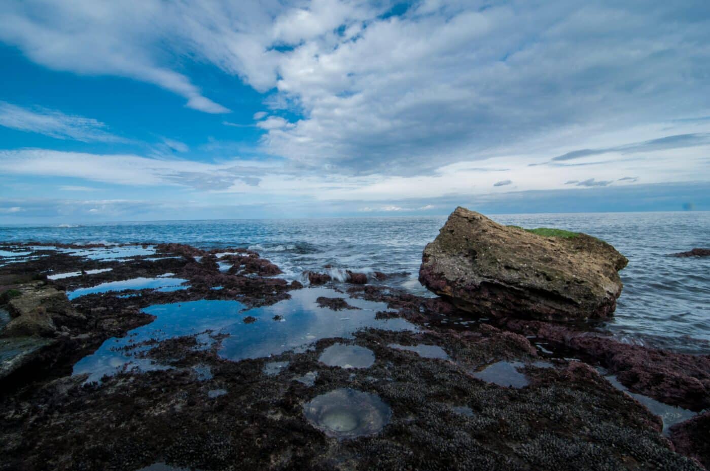 An Immersion in Île de Ré’s Preserved Nature