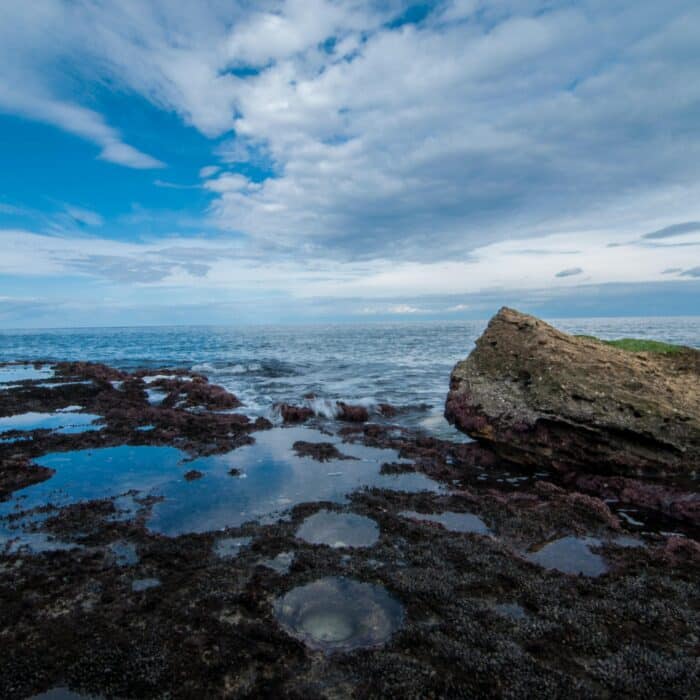 Une immersion dans la nature préservée de l’Île de Ré Une immersion dans la nature préservée de l’Île de Ré