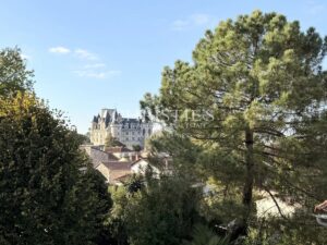 Élégante maison de ville de prestige, 8 chambres et un appartement 2 chambres, avec grand parc et vue sur le château