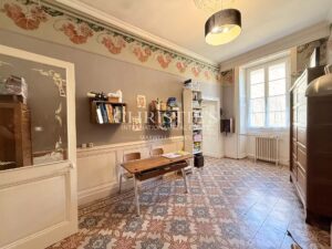 Élégante maison de ville de prestige, 8 chambres et un appartement 2 chambres, avec grand parc et vue sur le château