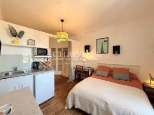 Élégante maison de ville de prestige, 8 chambres et un appartement 2 chambres, avec grand parc et vue sur le château