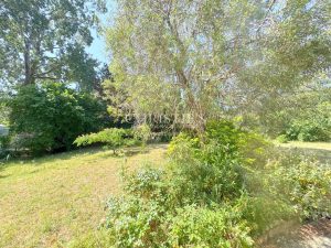 Villa Familiale avec Jardin, Piscine et Plage à Proximité