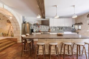 Belle maison de village avec gîte, grand jardin, cuisine d’été et piscine