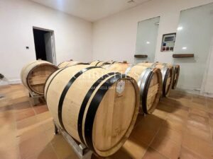 Prime and Rare Vineyard Estate in the heart of the renowned and highly sought after appellation of Pomerol