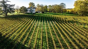 A vendre propriété de charme du XIXème siècle aux portes de Bordeaux