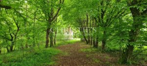 Un gentilhommière exceptionnel au cœur du Périgord Vert