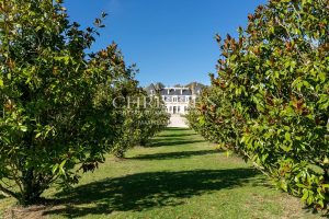 Le Château Aristocratique de Beechwood