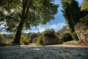 Charmante propriété en Périgord proche Sarlat