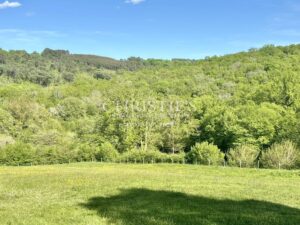 Charmante propriété en Périgord proche Sarlat
