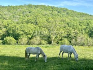 Charmante propriété en Périgord proche Sarlat