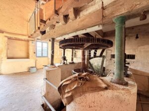 Un Domaine de moulin historique rare, entièrement restauré, au cœur de la Charente